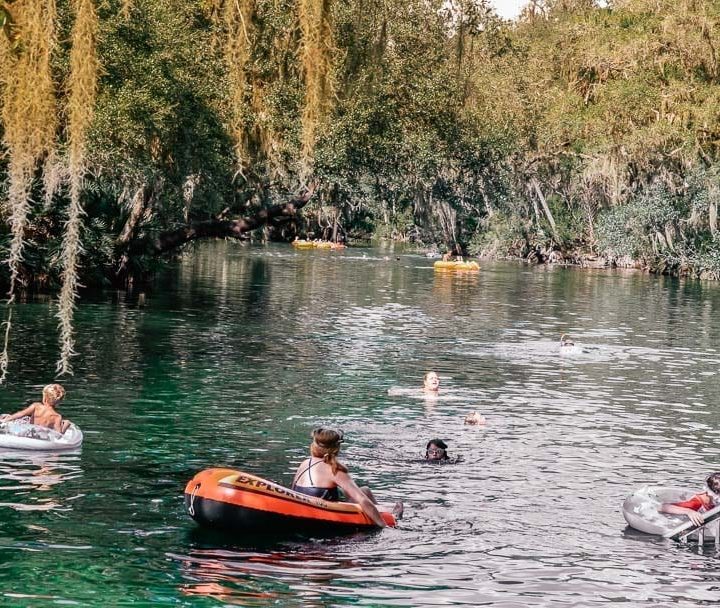 Blue Spring State Park Tubing and Manatees Near Orlando!