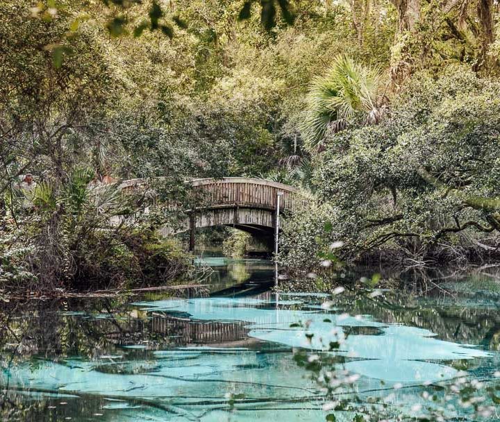 9 Best Springs in Ocala You Must Visit – Stunning Natural Springs!