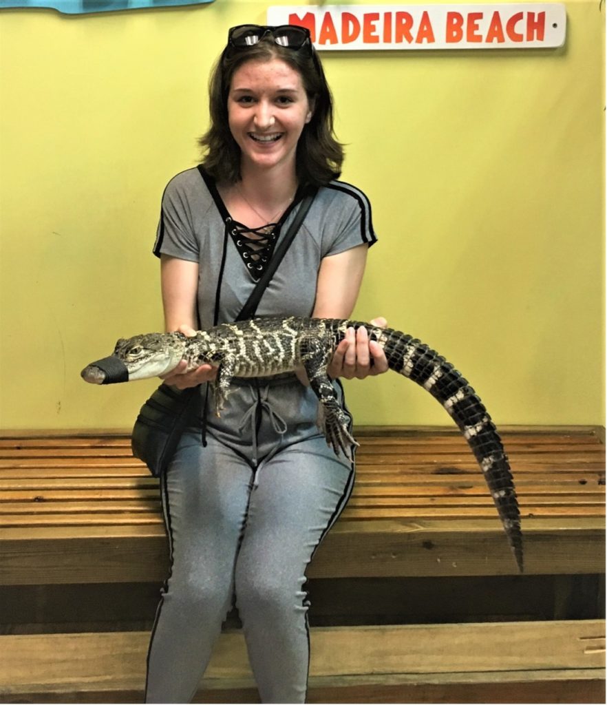Alligators-Wildlife-Discovery-Center Animals in Florida