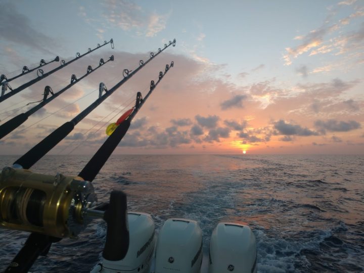 Sarasota Offshore Fishing Charters