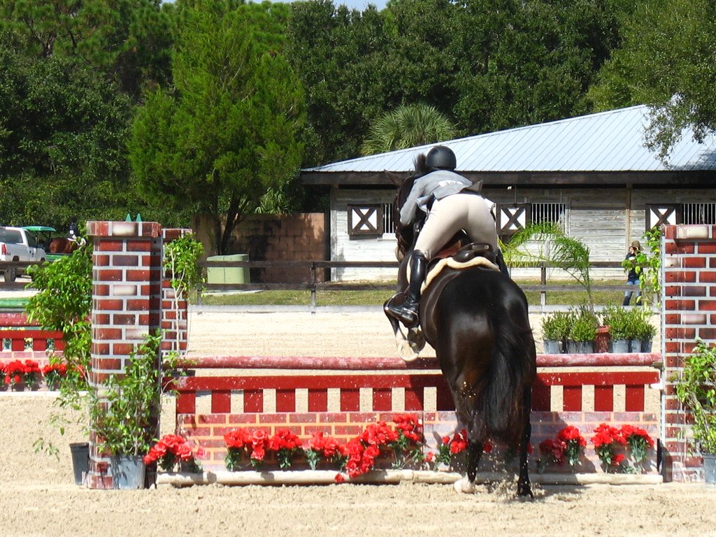 Equestrian Show at Fox Lea Farm