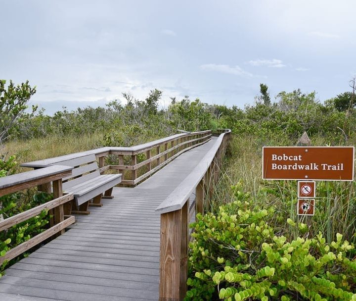Everglades Hiking – 15 Best Everglades National Park Hiking Trails