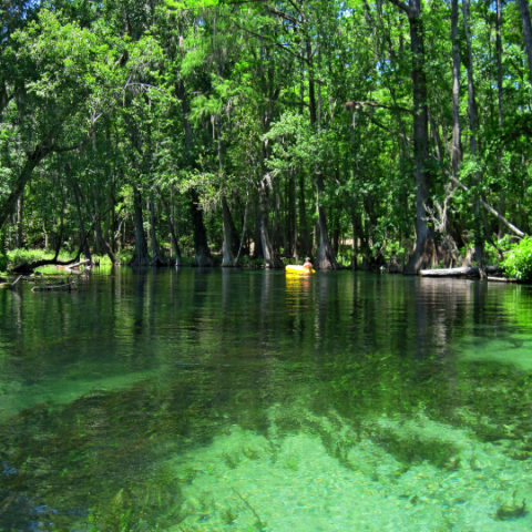 10 Best Places To Go Tubing In Florida (Natural Lazy Rivers!)