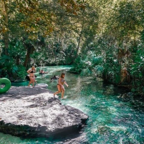 12 Best Natural Springs Near Tampa You Gotta See!