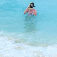 Dry Tortugas National Park -snorkeling