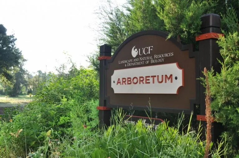 University of Central Florida Arboretum