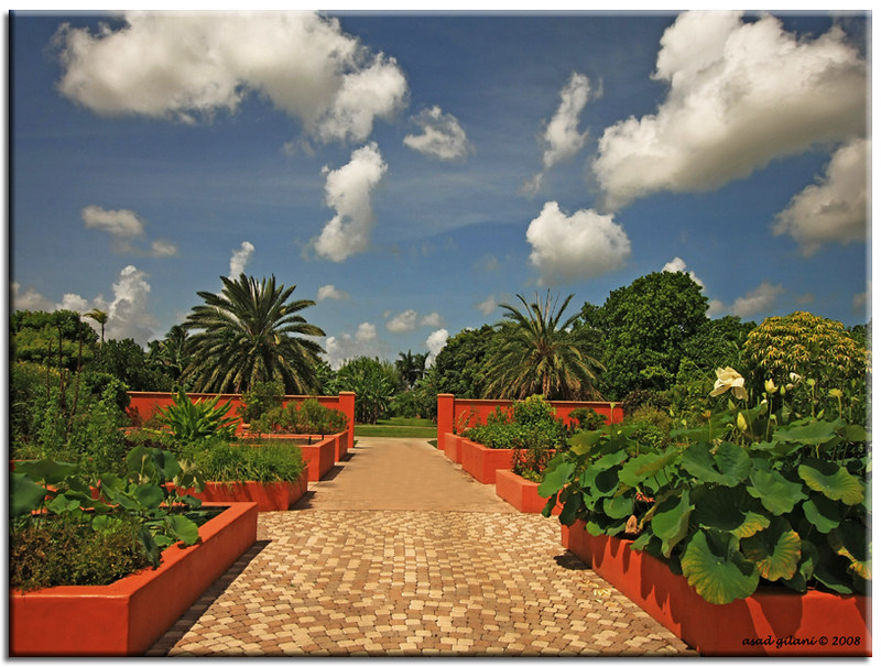 Fruit & Spice Park Best Botanical Gardens in Florida