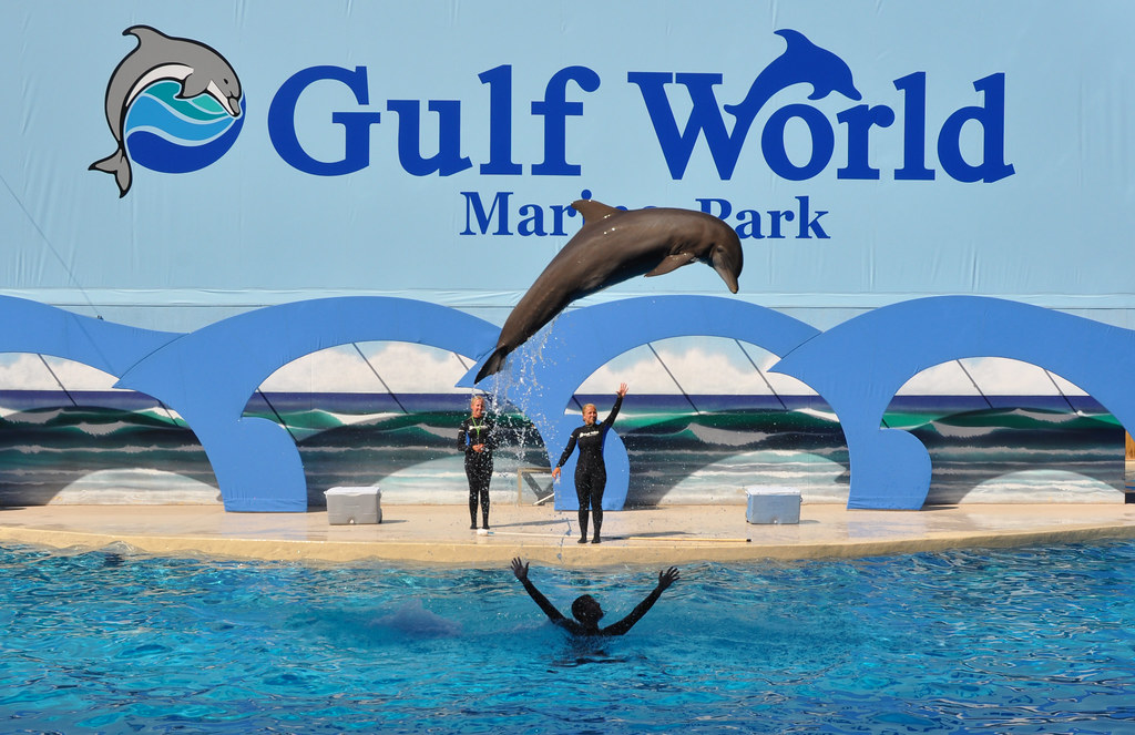 Gulf World Marine Park – Panama City Beach
