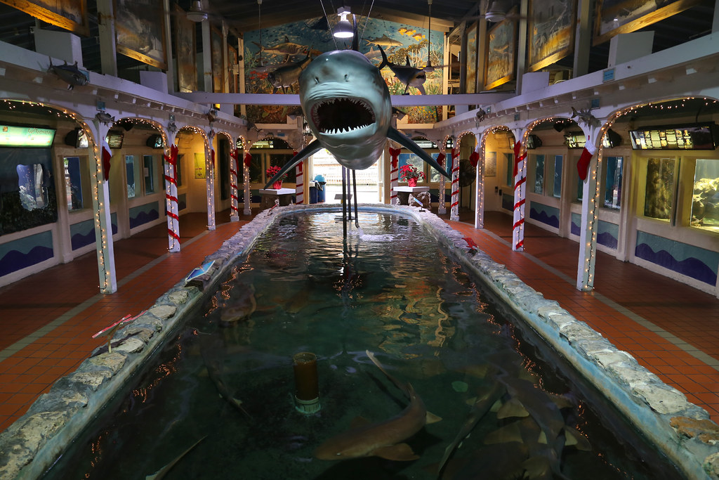 Key West Aquarium – Key West