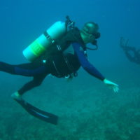 Scuba Dive with Jupiter Scuba Diving