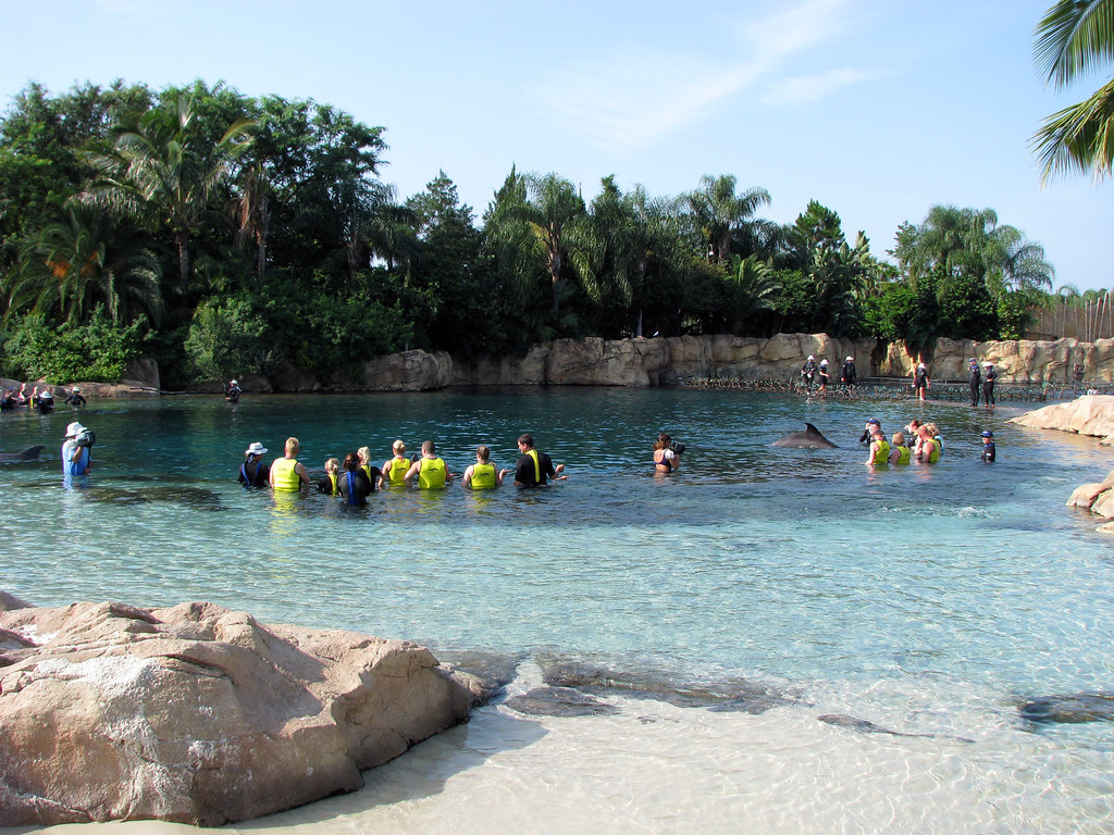 Discovery Cove 