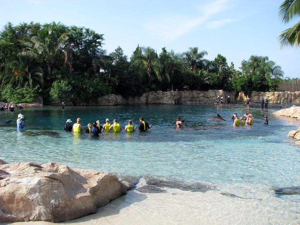 Discovery Cove 