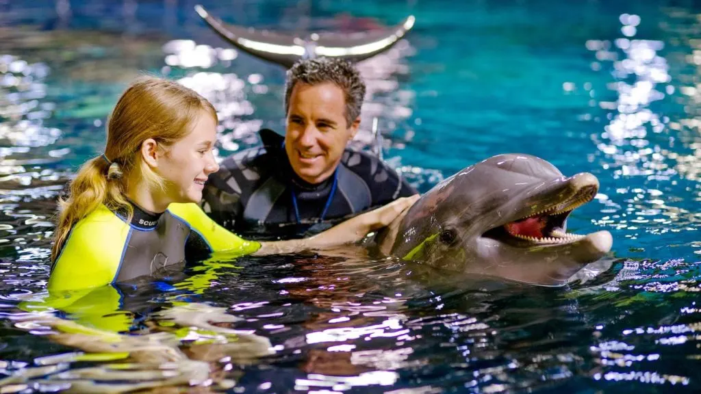 Epcot Sea Adventures Dolphins in Depth at Walt Disney World