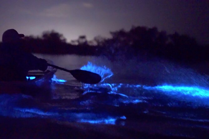 Florida-Bioluminescent-Clear-kayaking