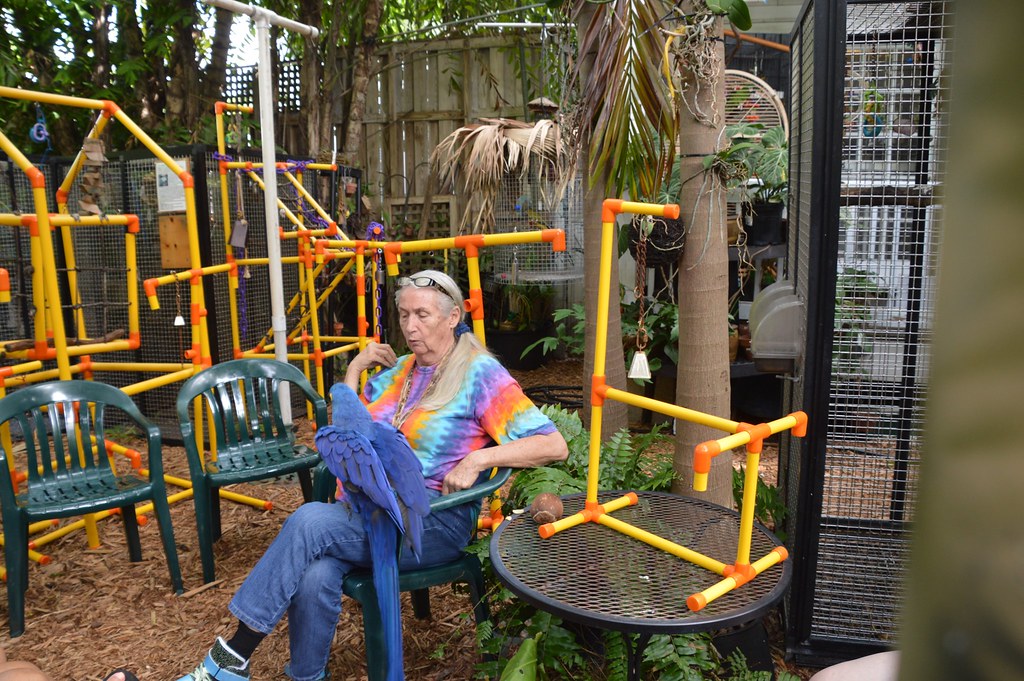 Nancy Forrester’s Secret Garden Unusual Things to do in Key West