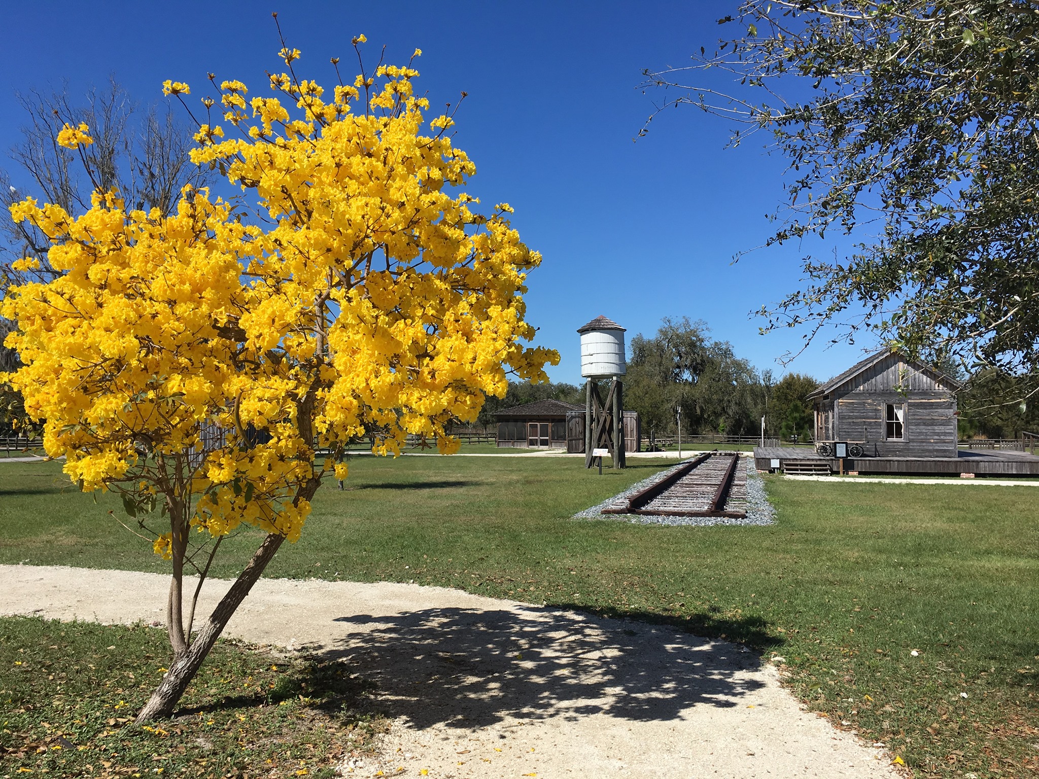 Osceola County Historical Society Pioneer Village. things to do in Kissimmee 