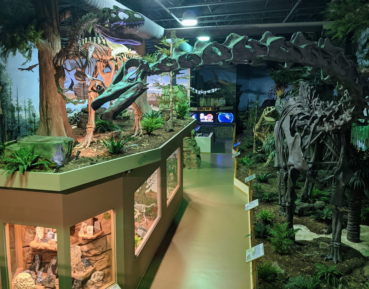 The Dinosaur Store & Museum
