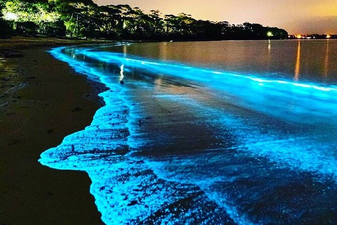bioluminescence kayaking florida