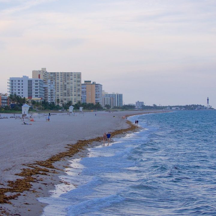 19 Best & Fun Things to do in Pompano Beach