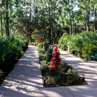St. Lucie Botanical Gardens