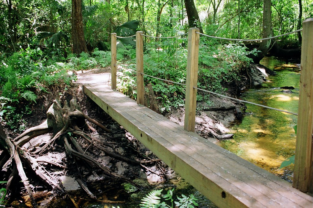 The Jacksonville Arboretum and Botanical Gardens Things to do in Jacksonville 