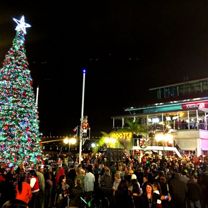 14 Best Places to See Christmas Lights in Florida You Must See!