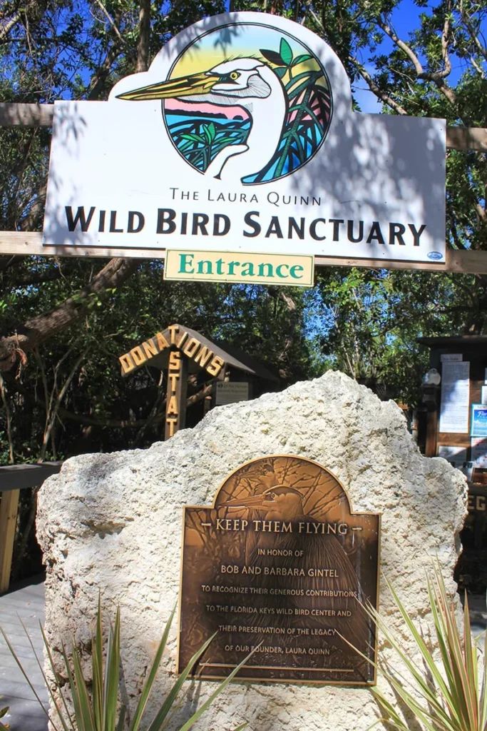 Laura Quinn Wild Bird Sanctuary