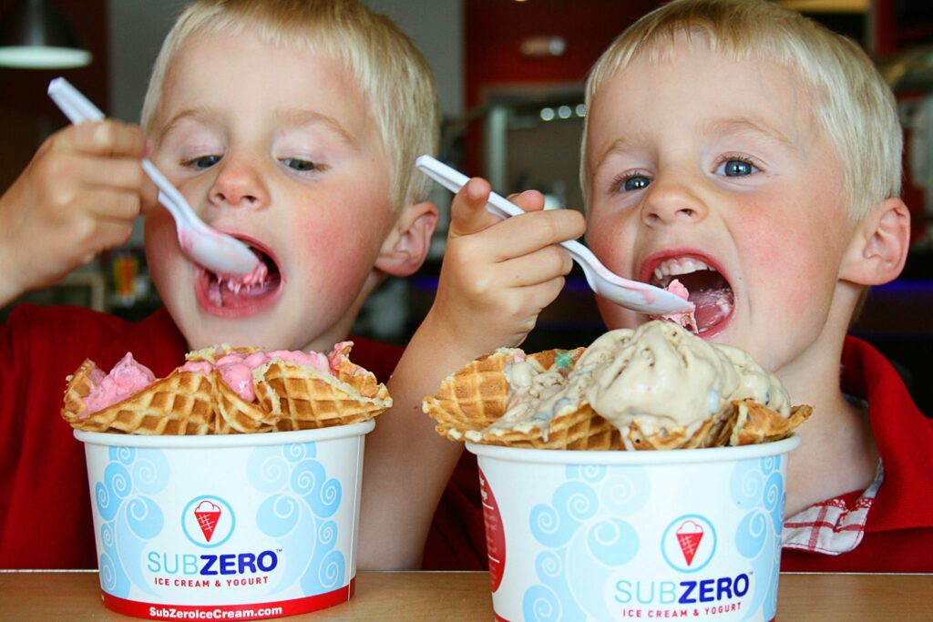 Sub Zero Nitrogen Ice Cream