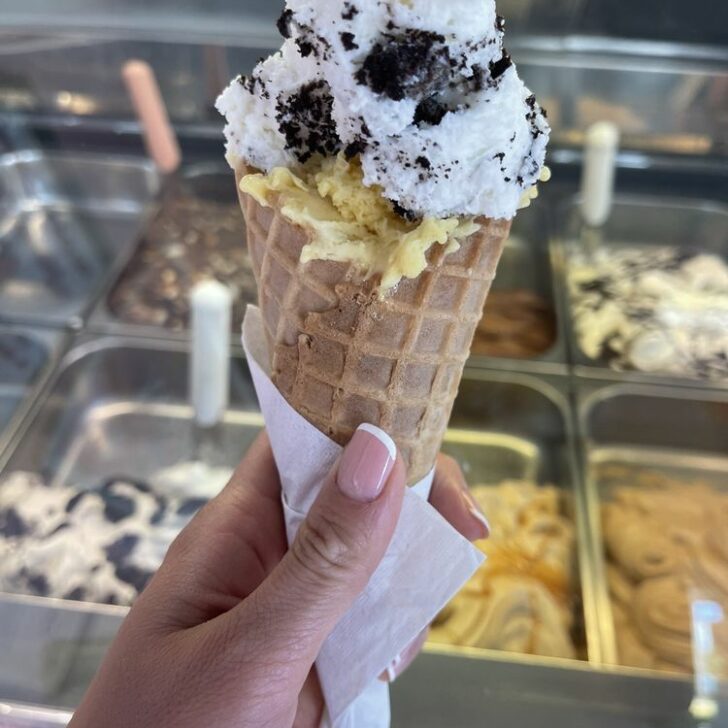 4 Best Places for Ice Cream in Bonita Springs You Gotta Try!