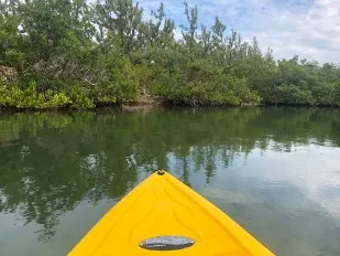 kayaking-islamorada