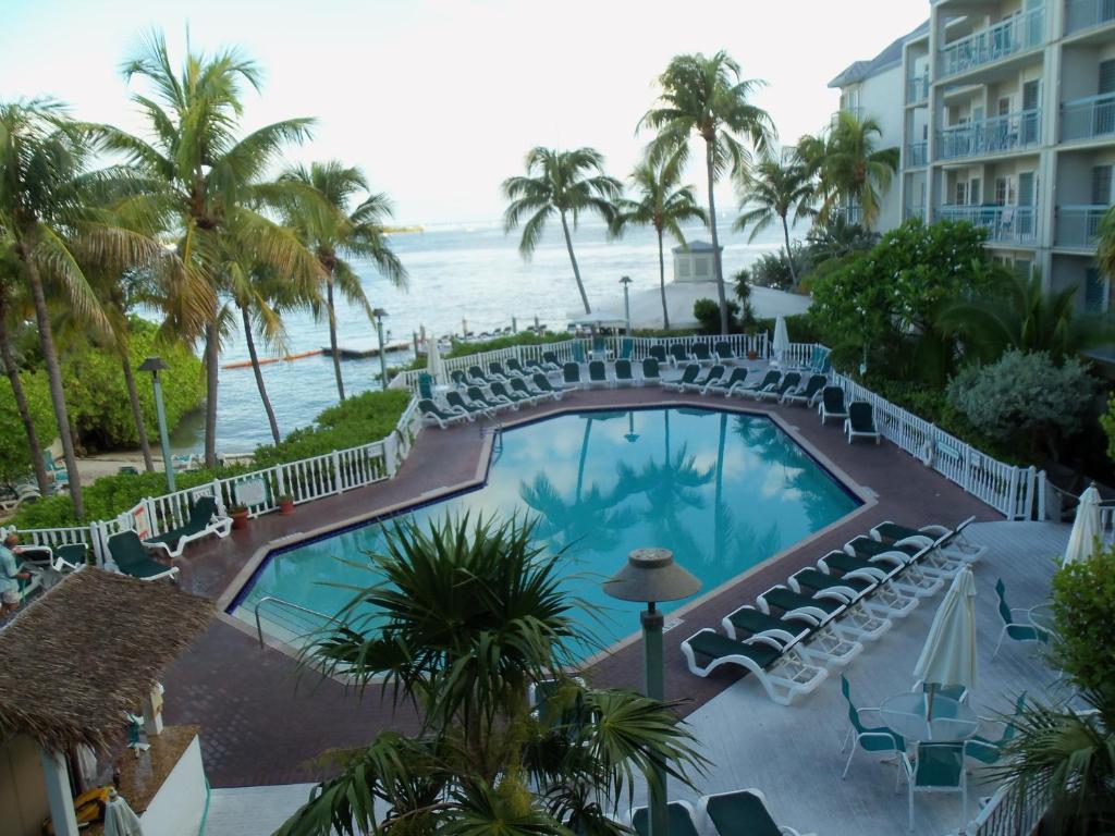 View of the outdoor pool surrounded by palm trees and lounge chairs, facing the ocean, at Galleon Resort and Marina Key West