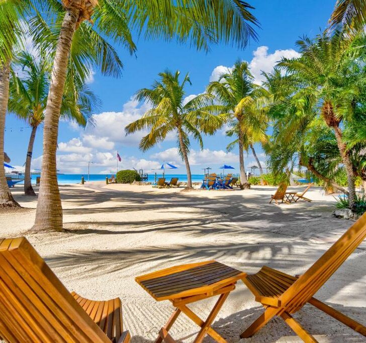 Wooden chairs under palm trees on the beach face the ocean at Island Bay Resort in Key Largo