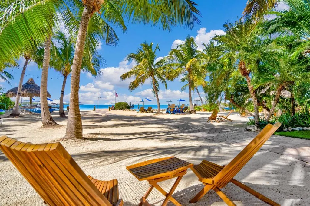 Wooden chairs under palm trees on the beach face the ocean at Island Bay Resort in Key Largo