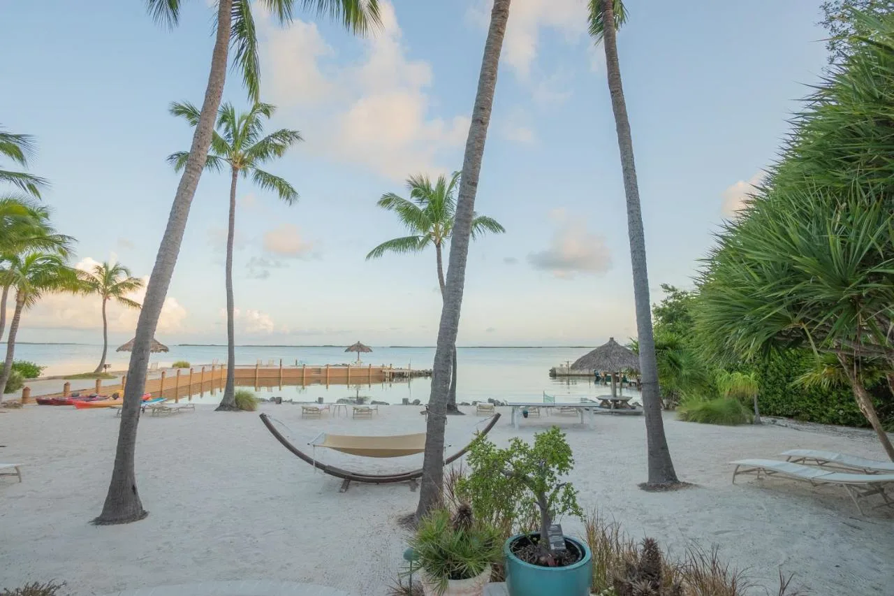 A beach with palm trees by the ocean near Kona Kai Resort in Key Largo