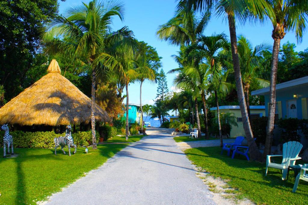 Palm trees line a path towards the ocean in Sunset Cove Beach Resort in Key Largo