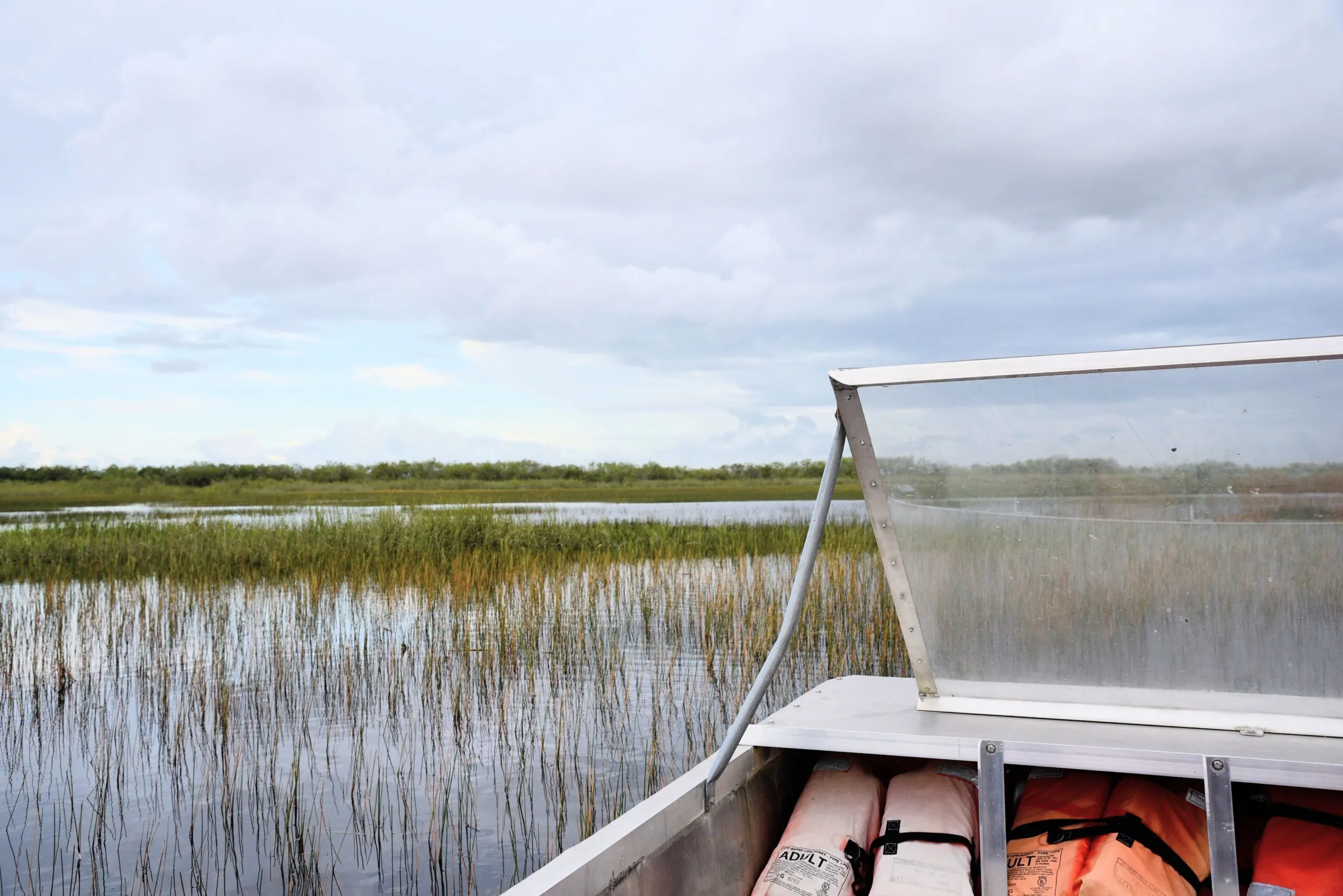 everglades is a good place to visit in Florida in February